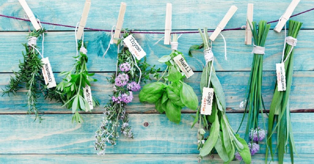 Drying Herbs