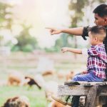 Homesteader