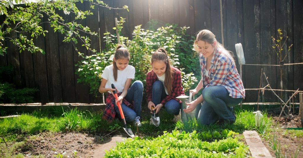 How to Become a Homesteader