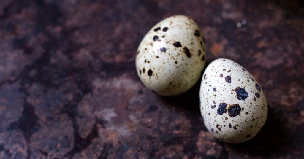 Quail Eggs