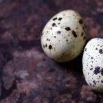 Quail Eggs