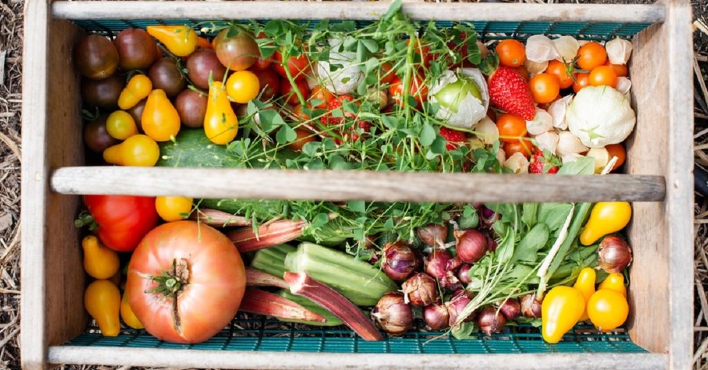 Vegetable Box