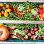 Vegetable Box