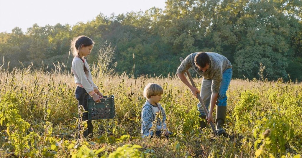 Homesteading