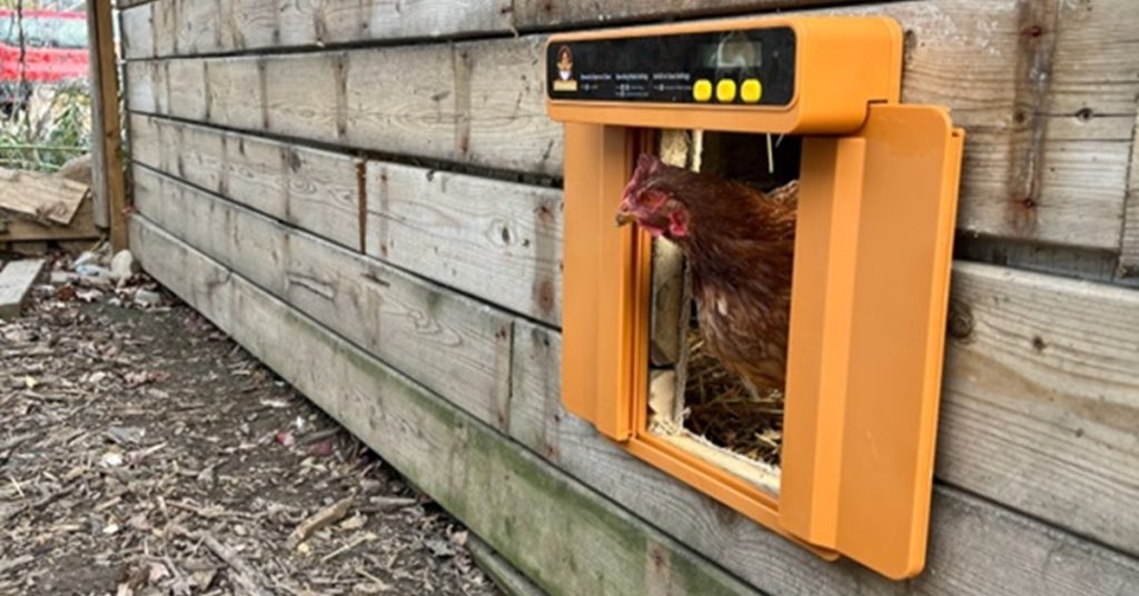Chickcozy Automatic Door