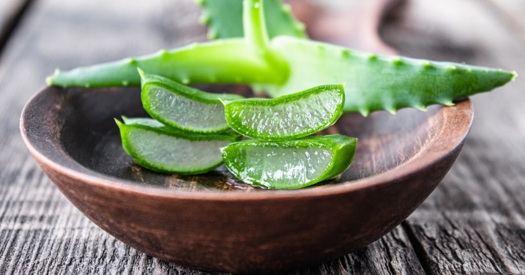 Aloe Vera Characteristics