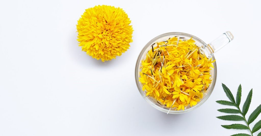 Calendula