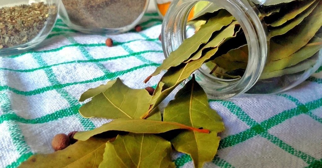 Bay Leaves