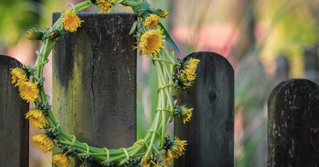 Dandelion wreath
