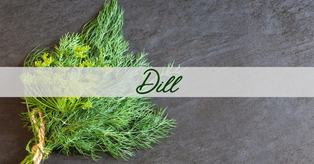 Dill Benefits