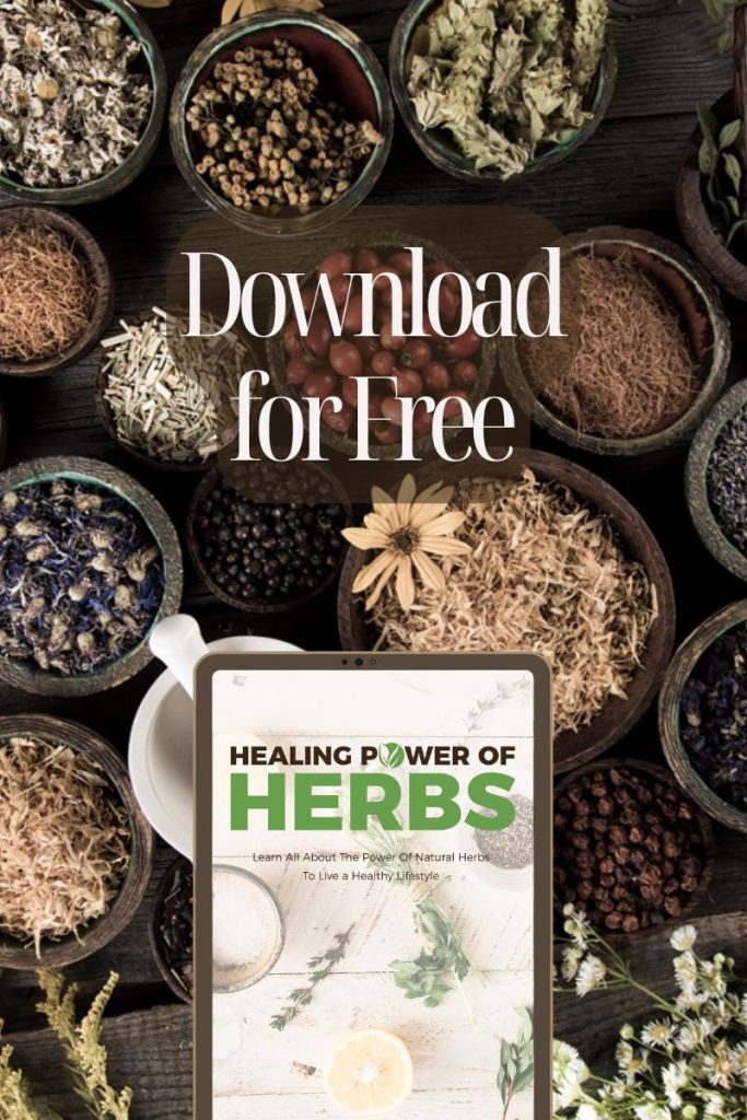 healing power of herbs