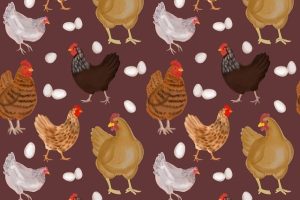 animal care checklists farmstead life