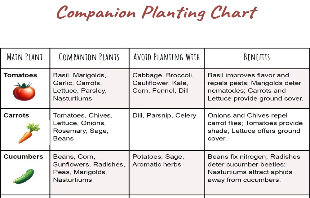 Companion Plant Chart